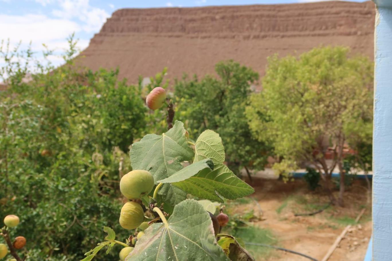 Gite D'Etape Ziz Oasis Achbarou ภายนอก รูปภาพ
