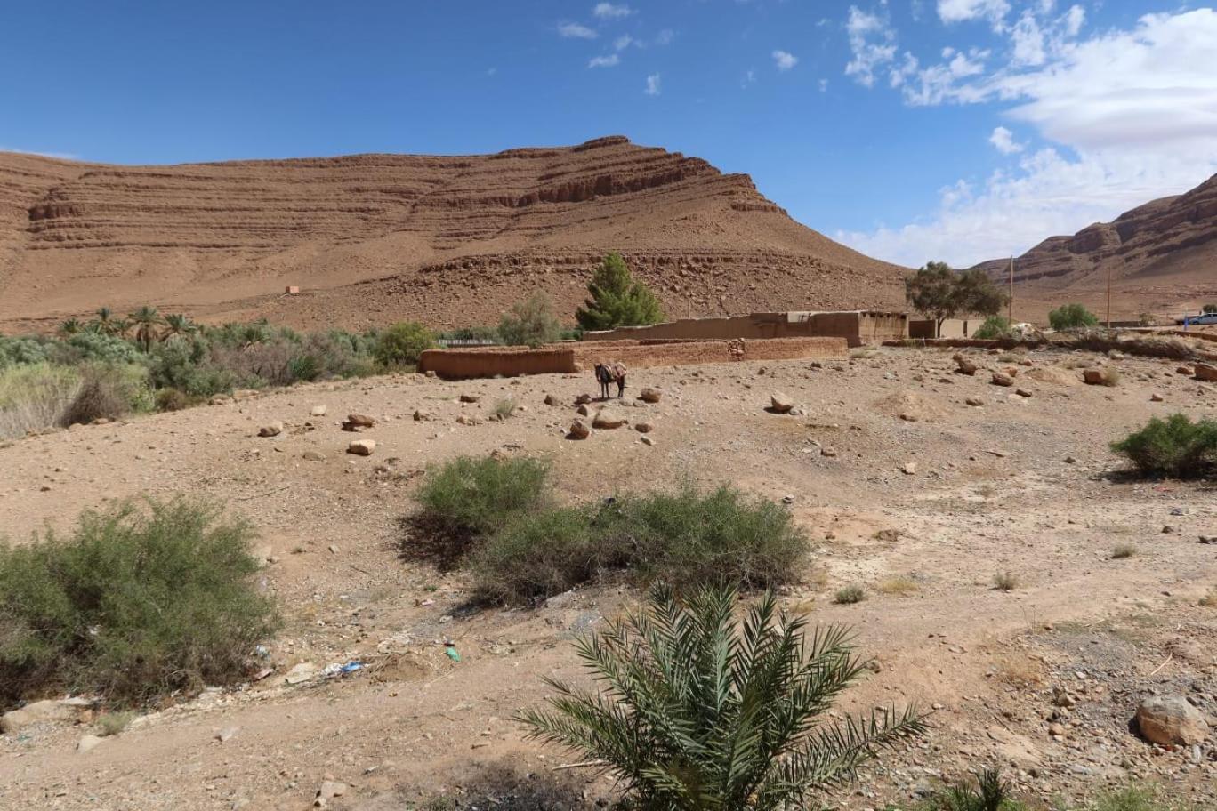 Gite D'Etape Ziz Oasis Achbarou ภายนอก รูปภาพ