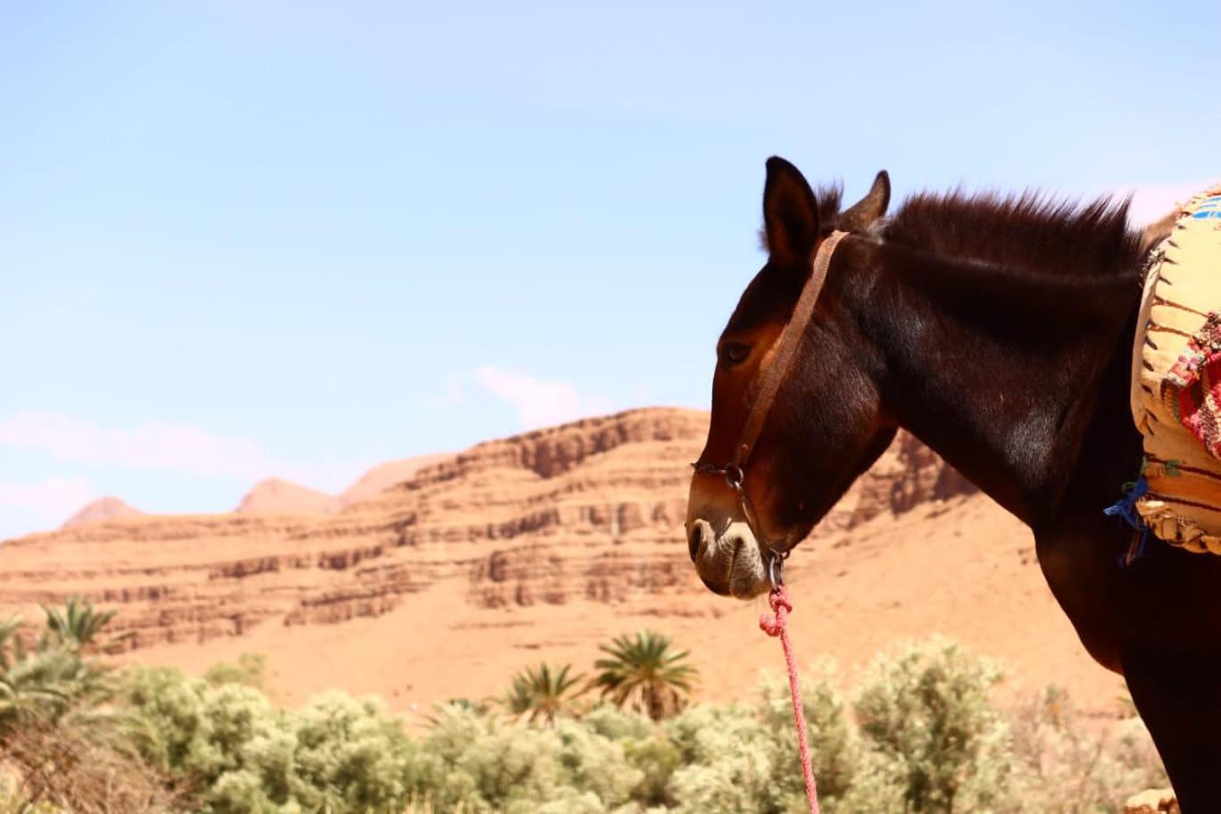 Gite D'Etape Ziz Oasis Achbarou ภายนอก รูปภาพ